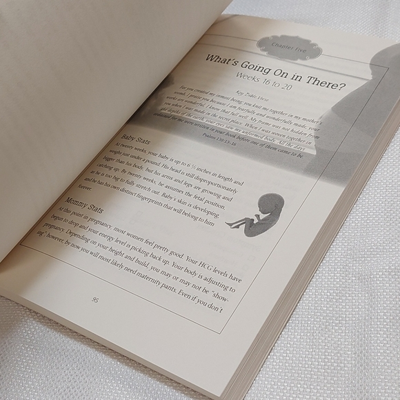 Prenatal FITNESS DVDs/The Pregnancy Companion Book - Picture 9 of 9